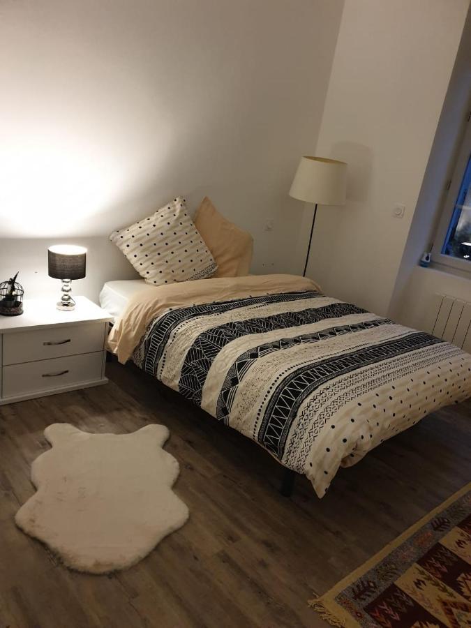 Appartement Cosy Et Chaleureux Lons-le-Saunier Exterior photo